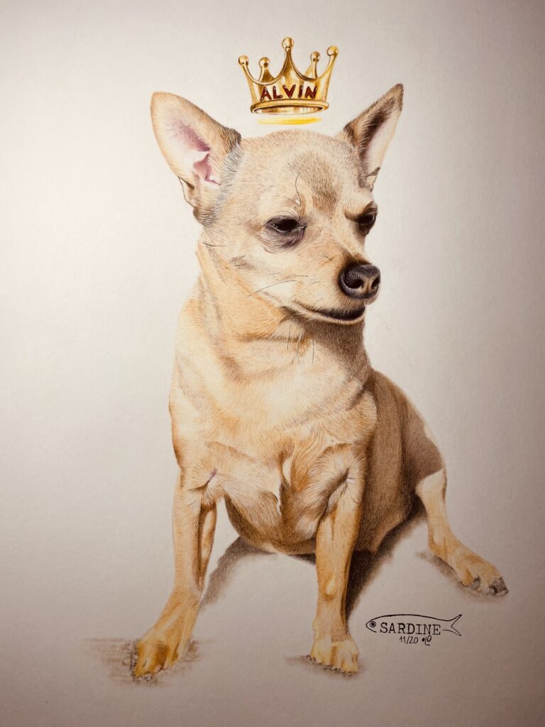 Vazadd de e Vazadd de e